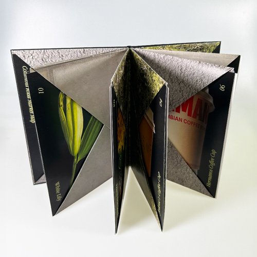 Nina Strzeszewska show image