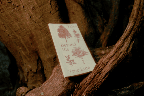 Dana Chan show image