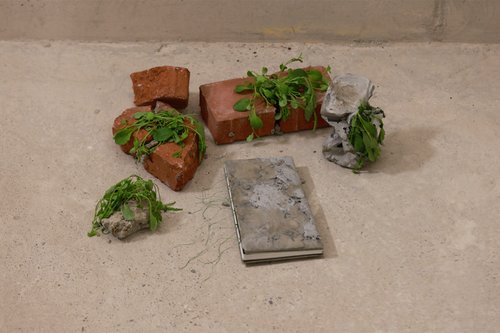 Lihua Peng show image