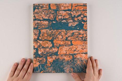 Michaela Maloney show image