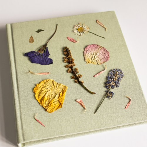 Jasmine Lee show image