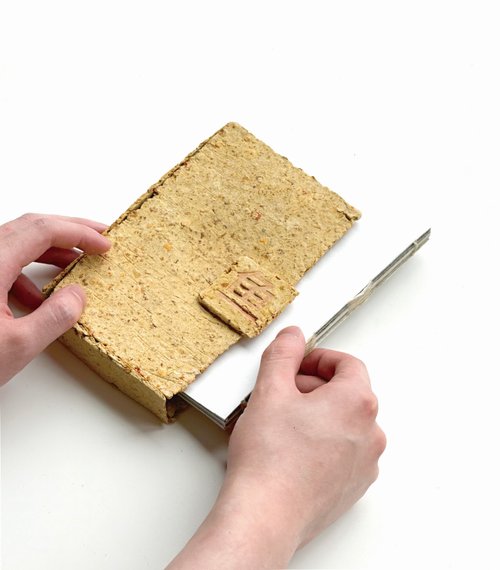 Junyan Chen (Naci) show image