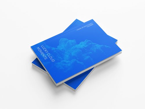 Zixuan Wu show image