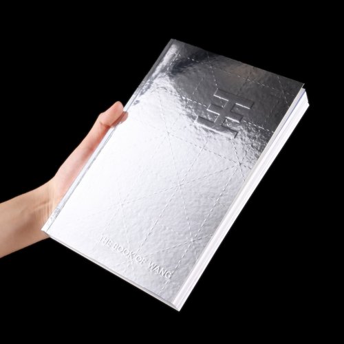 Longxiang Wang show image