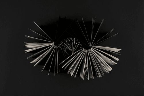 Leyan Chen (Elza) show image