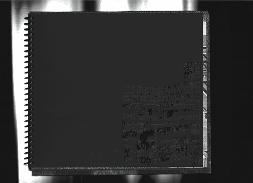 Bianka Horvath show image