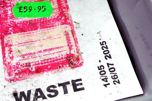 Zhiyang Zhang show image