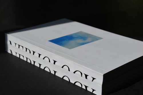 Alice Chen show image