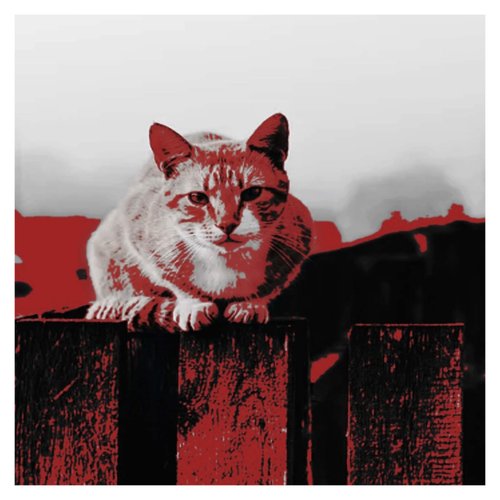 Xiang Wang show image